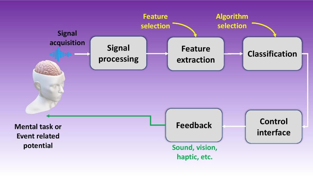 How Brain-Machine Interfaces Use Visual Signals